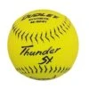 Dudley Thunder SY HYCON ICON NSA 12" Synthetic Slowpitch Softballs (DOZEN): 4E824Y -Apparel Store 4e824y x700 914fc859 f56b 4a2f 8a76 0c710fb438de
