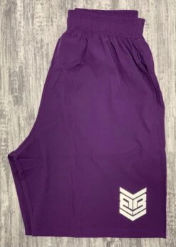 Banger Brand Exclusive 4 Way Stretch Shorts W/ Reflective Logo -Apparel Store IMG 1739